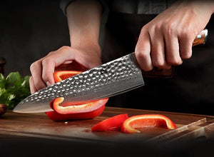 Japanisches Messer Hansuke