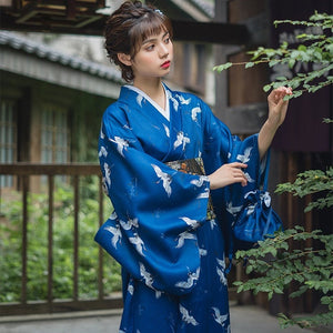 Kimono Damen Atsushi